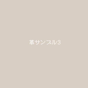 革イメージ03
